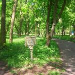 У Буську проведуть обробку паркових зон від кліщів