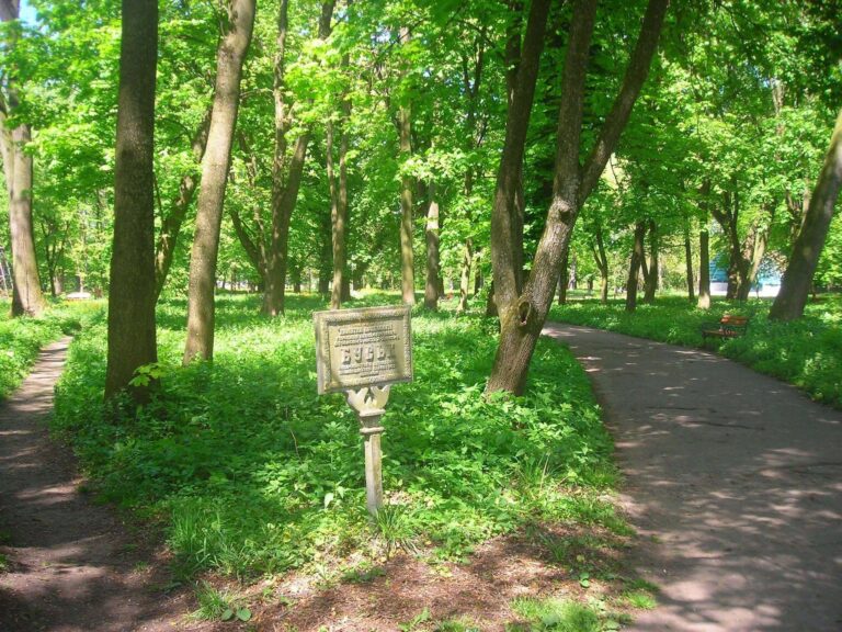 У Буську проведуть обробку паркових зон від кліщів